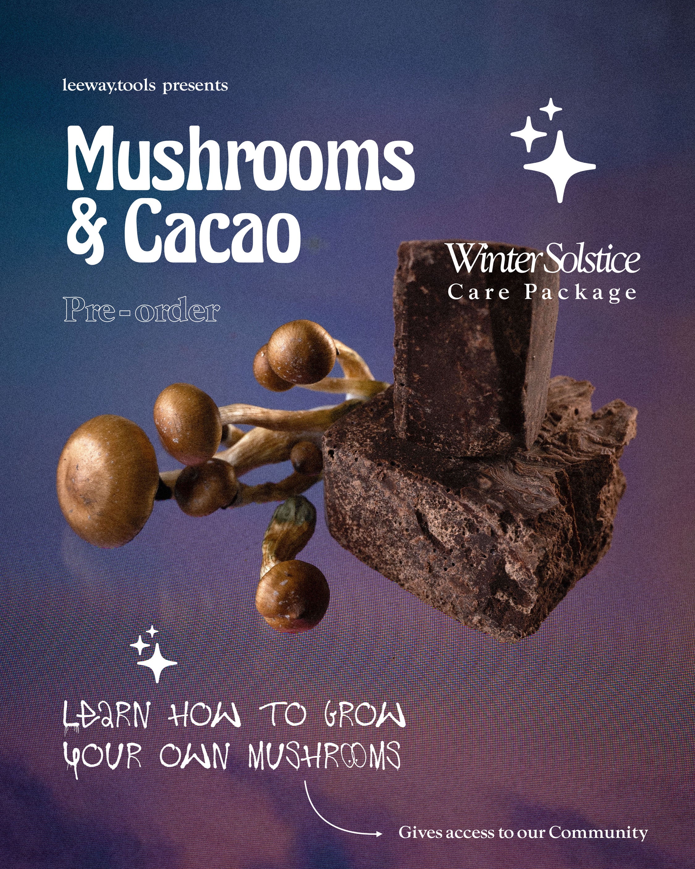 Mushrooms and Cacao [PRE-ORDER]