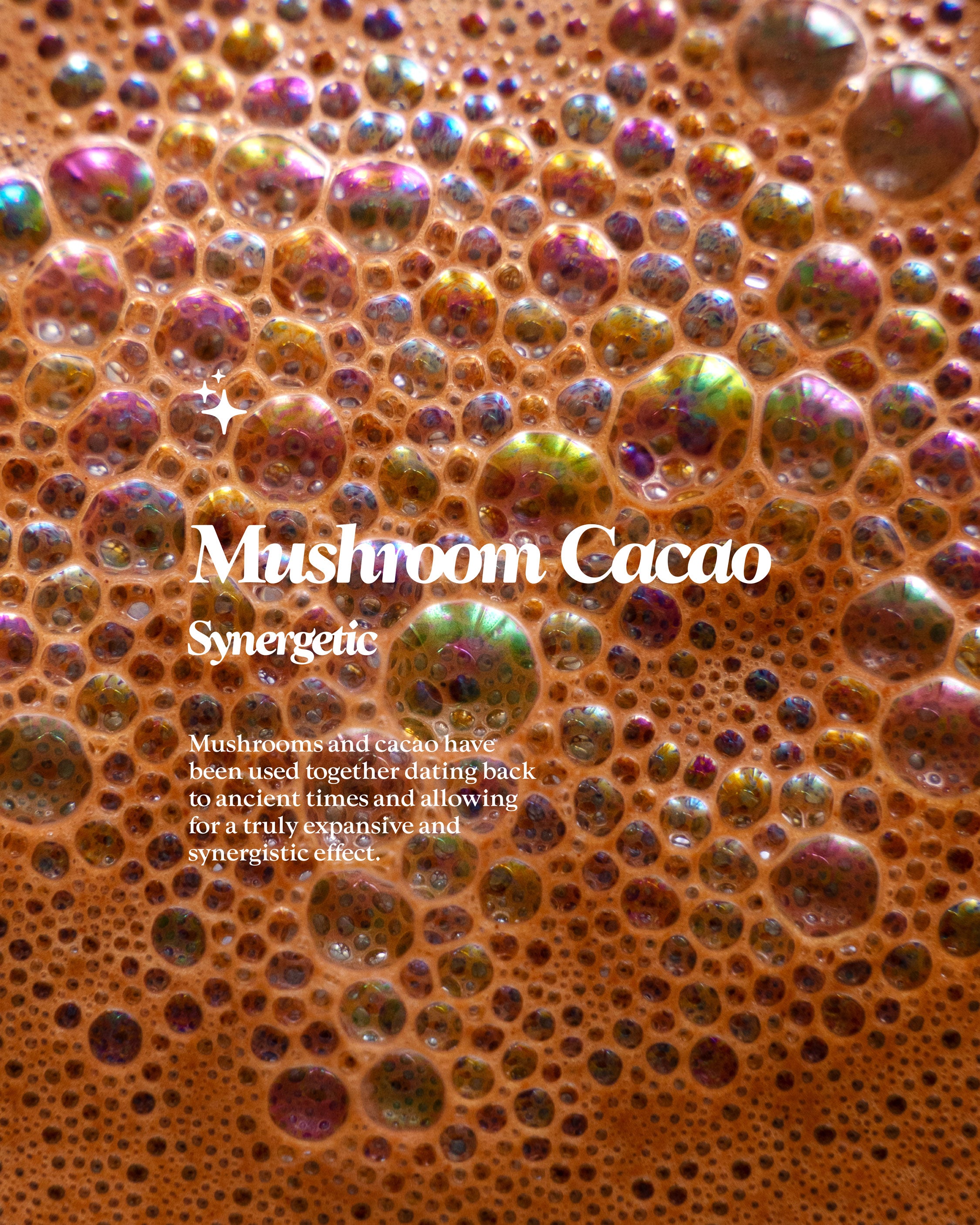Mushrooms and Cacao [PRE-ORDER]