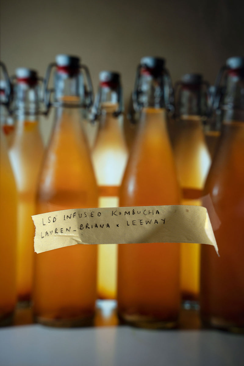 Alice Dee Infused Kombucha